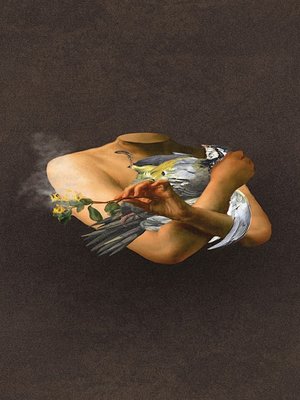 cover image of O poeta e o tempo